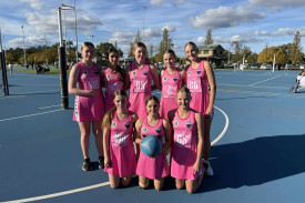 Division two netballers.