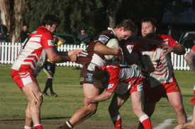 img_7971.JPG