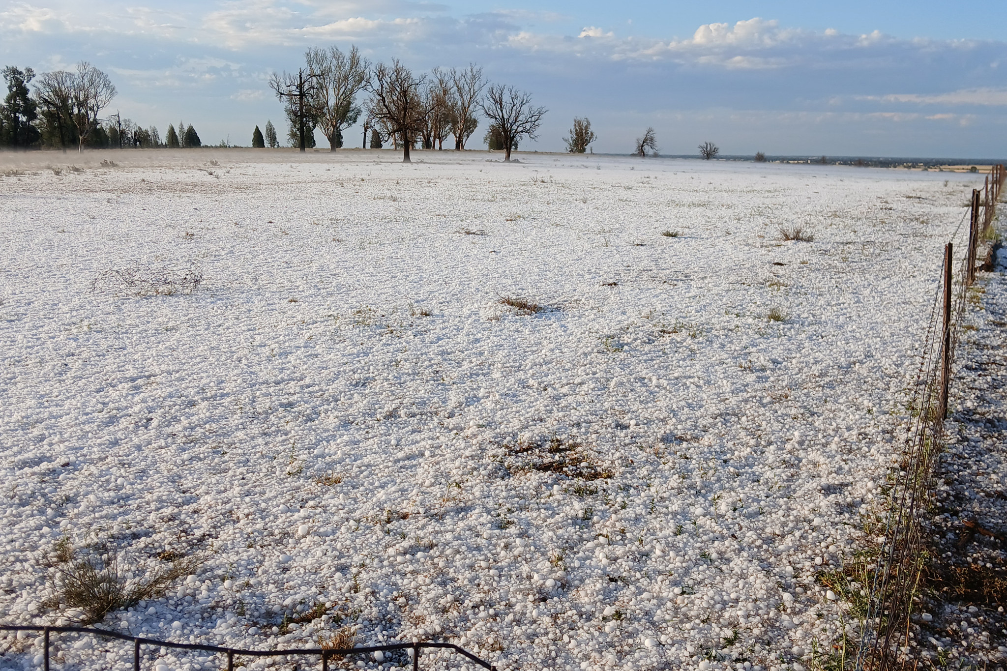 A hailstorm last Friday turned paddicks into a ice fields. Photo by Alan Smith.