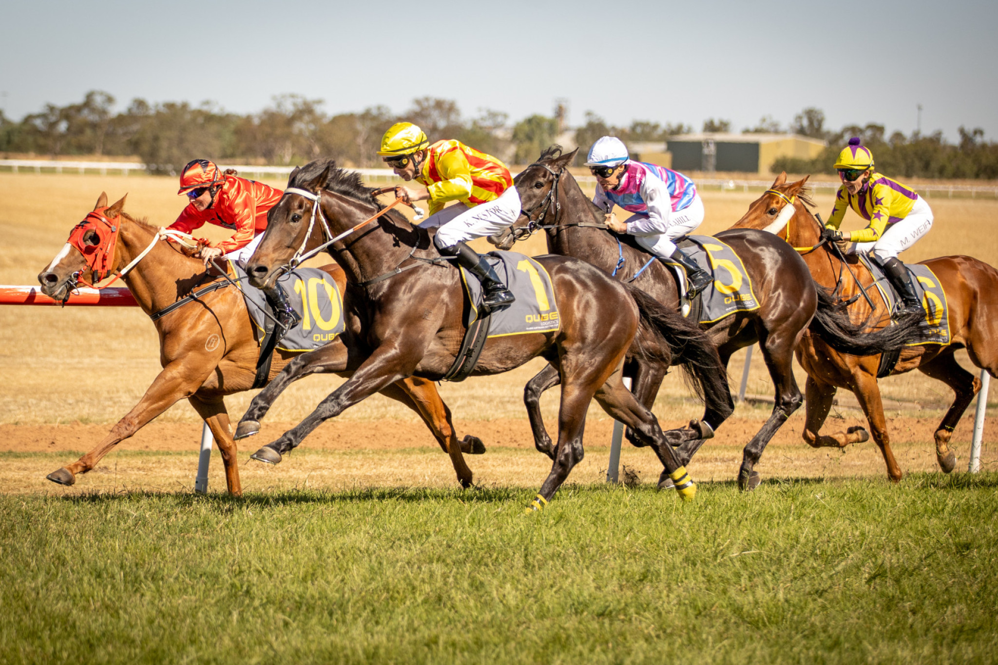 Tainui (first, second from left) glided home strongly on the outside to Warren Cotton Cup success. Photos: Janian McMillan, www.racingphotography.com.au
