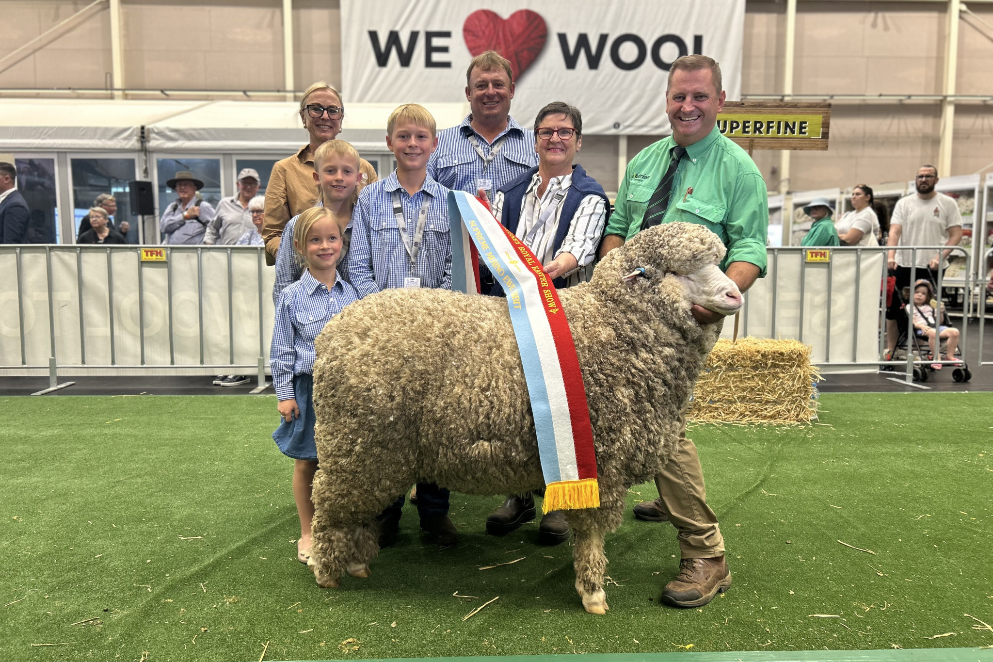‘Ally’, held by Rick Power, is sashed by Nicky Merriman with Kristen, Anthony, Sam, Jack, and Sadie Frost. The merino ewe from the Thalabah Merino stud near Crookwell was named Supreme Merino Ewe Exhibit at The Sydney Royal Easter Show. The ewe was named after the late Ally Jaffrey (nee Horan) who grew up in Gilgandra. Photo courtesy of Kristen Frost.