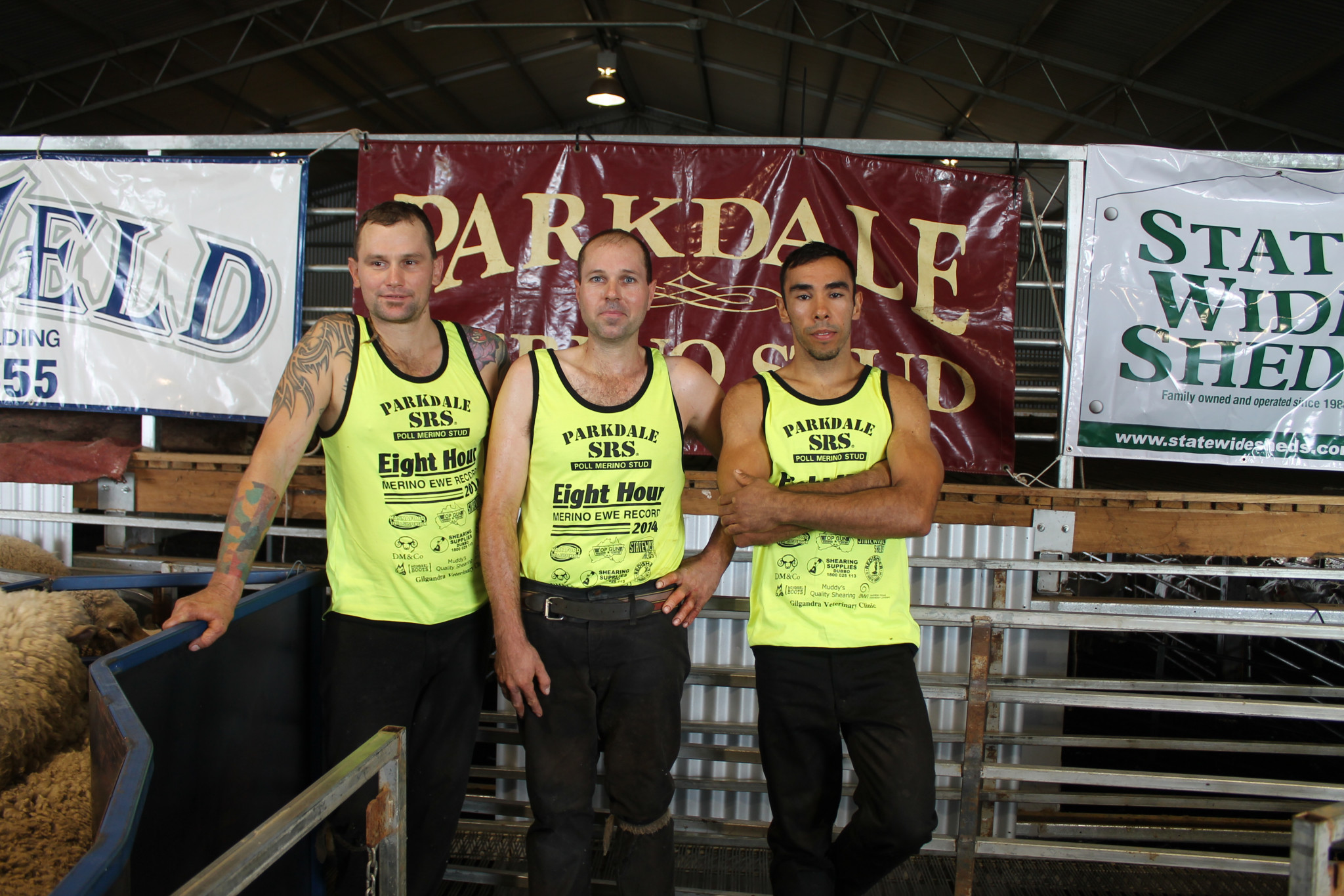 Beau Guelfi, Steven Mudford, and Bob White during their 2014 World Record Merino Ewe 8-hr Stand (1289) at Parkdale Merino SRS Stud. Photo by The Gilgandra Weekly: Lucie Peart.