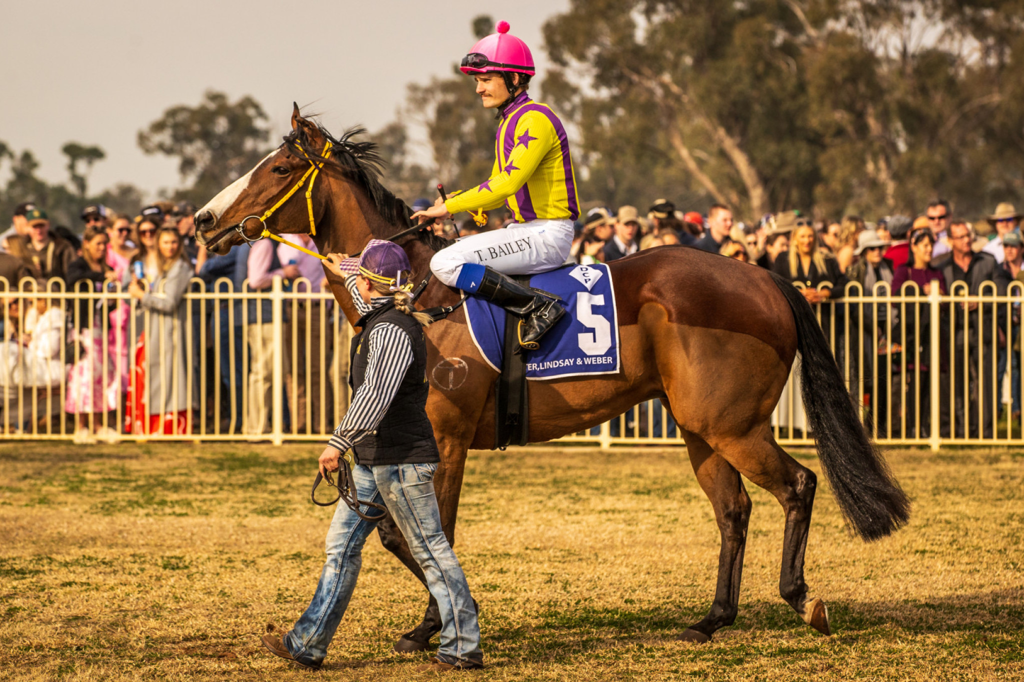 Retiring galloper, Billy Bent Ear, pictured at Duck Creek Picnic Races earlier this month. Photo by www.racingphotography.com.au