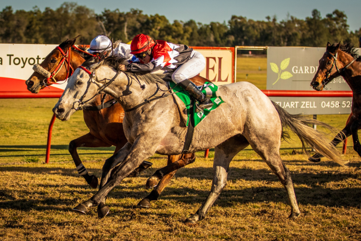 Toulon Factor (centre of image) powered down the outside to hold out Foreign Brother and win last year’s Collie Cup at Gilgandra. Photos: www.racingphotography.com.au