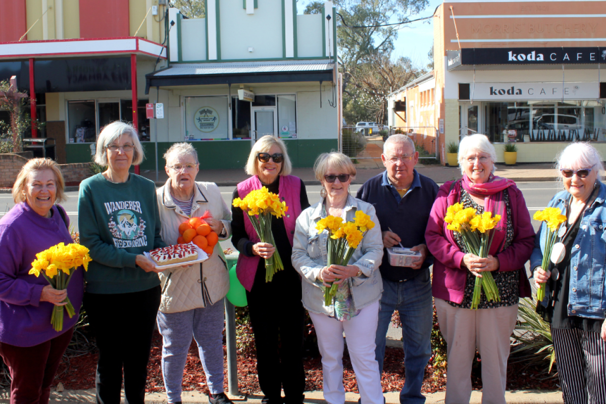 Volunteers of the 2024 Gilgandra and District Cancer Fundraisers Daffodil Day event are Marlene Holliday, Caryn Dwyer, Shirley Wellington, Joan Staggs, Lorraine Luff, John Quayle, Margo Piggott, and Susan Green. Photo by The Gilgandra Weekly: Nicholas Croker.