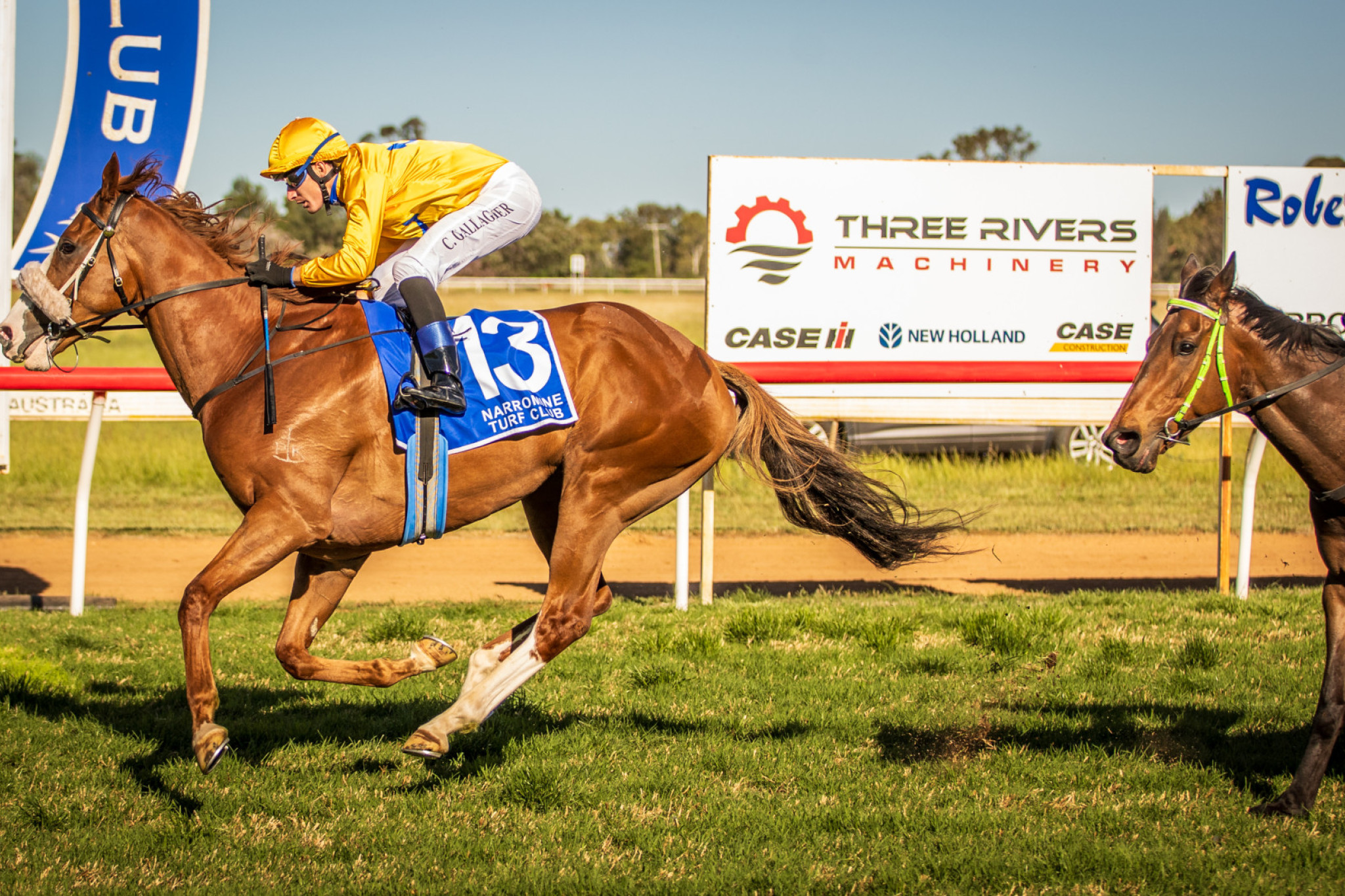 Danish Hussar (Clayton Gallagher/Allan McRae) took out Saturday’s QUBE Agri-Dandy Cup (1600m) at Narromine. Photo by www.racingphotography.com.au