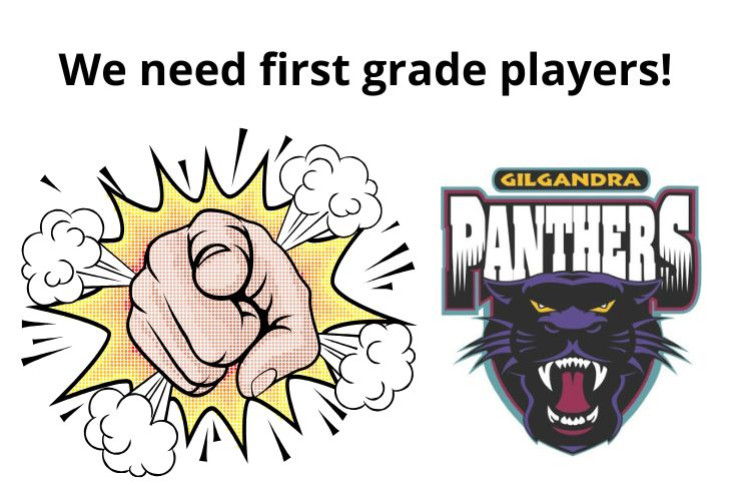 Gilgandra Panthers need you! - feature photo