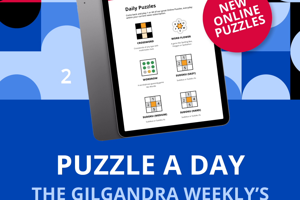 Attention puzzle lovers! - feature photo