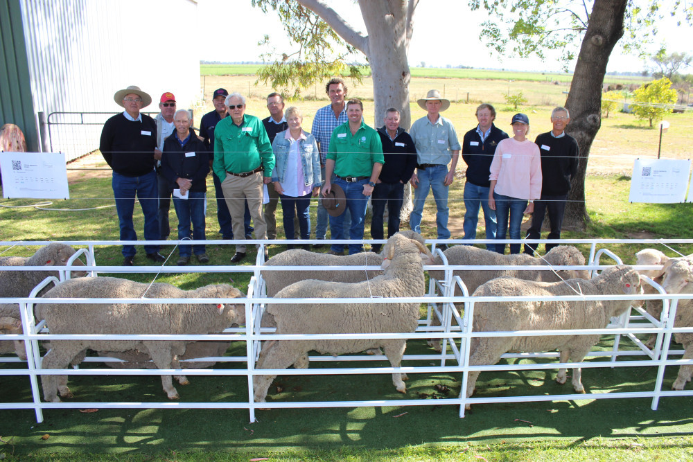 GRASS Merinos directors and managers celebrated the stud’s 50th anniversary last month at Armatree Hotel.