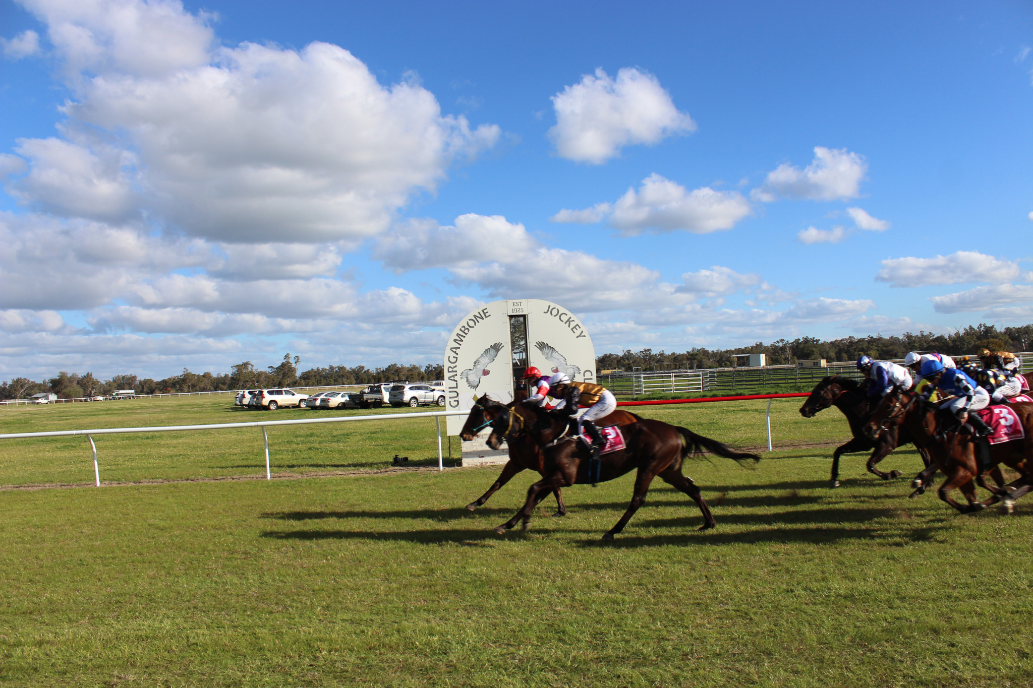 Apprentice jockey Caine Stuart, made the winning ride in the 1200 metres Inland Petroleum-Gulargambone Gold Cup on Saturday, August 30 aboard the Brett Robb-trained Rothgate. Pictured second was the Wayne Brown-trained So Country ridden by Georgina McDonnell. Photos by The Gilgandra Weekly.