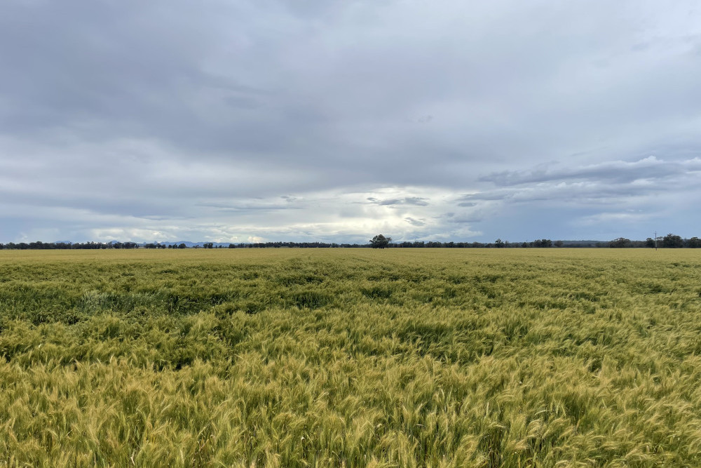 $5 million boost to the AgSkilled program - feature photo