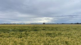 $5 million boost to the AgSkilled program