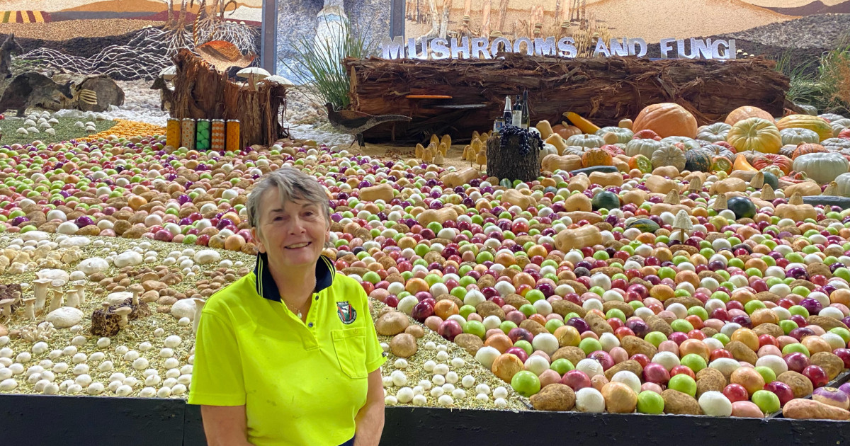 BEST OF 2024: A world of mushrooms on display at Easter Show | The ...