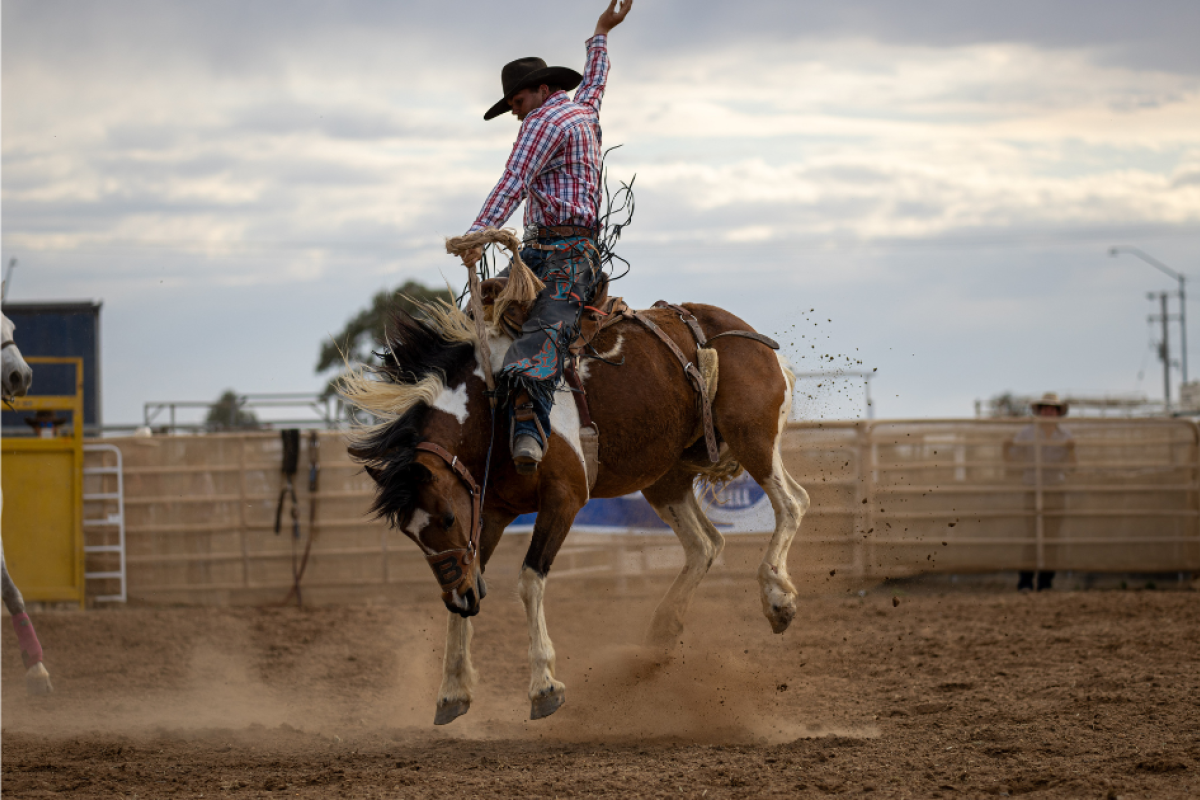 President of the Nevertire Rodeo committee Tom Russ during his third-place ride in the Open Saddlebronc event last year. Photo by Jodie Adams Photography.