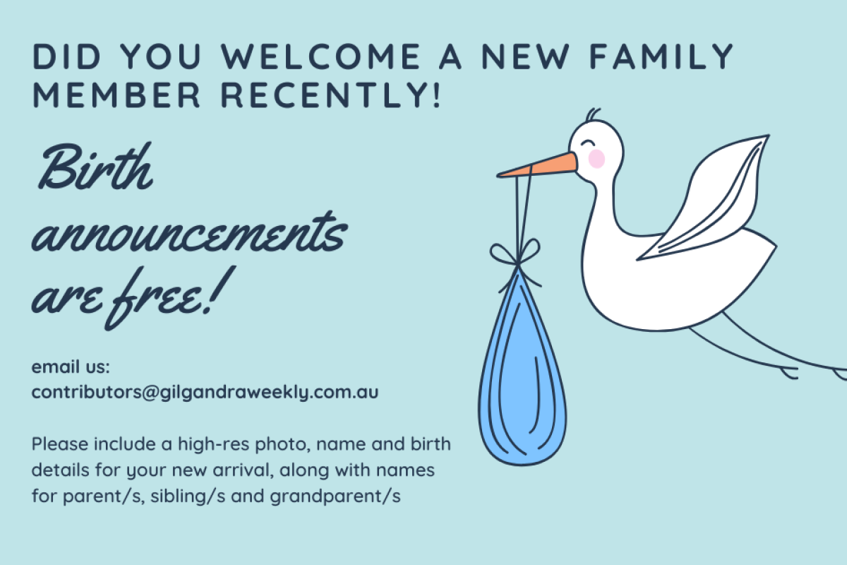 Birth announcements are free! - feature photo