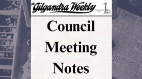 Council roundup July 2024