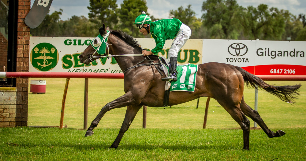 2025 Gilgandra Cup Race Meeting