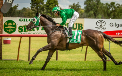 2025 Gilgandra Cup Race Meeting