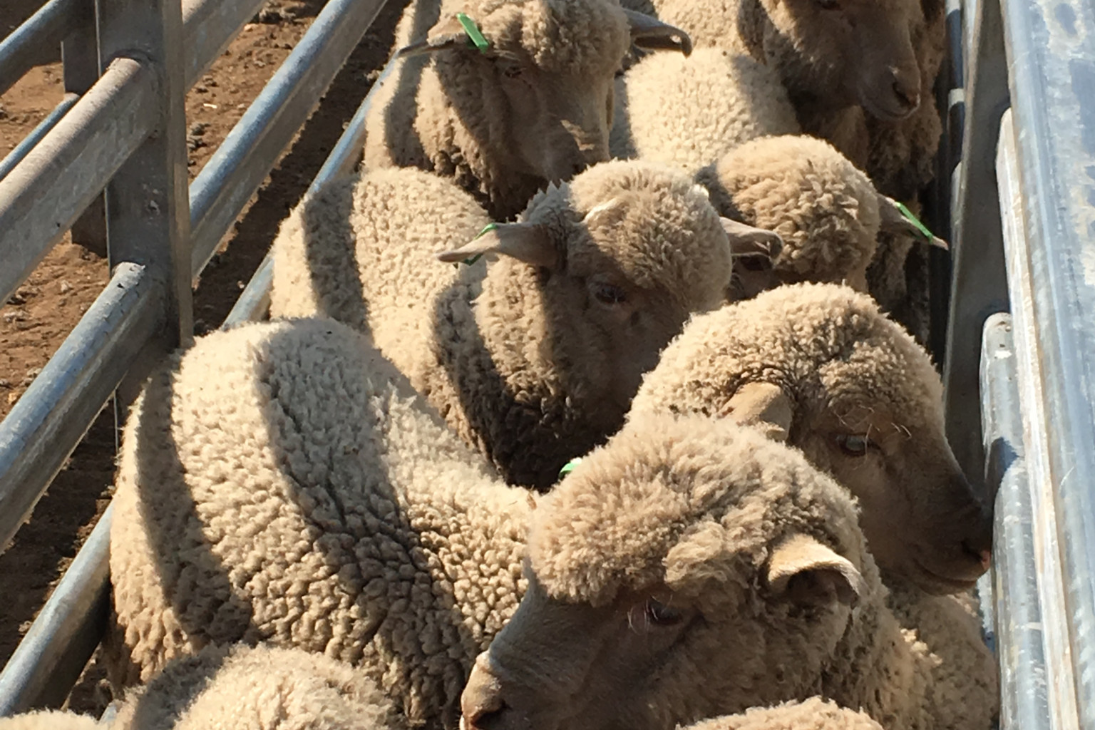 New funding for traceability reforms - feature photo