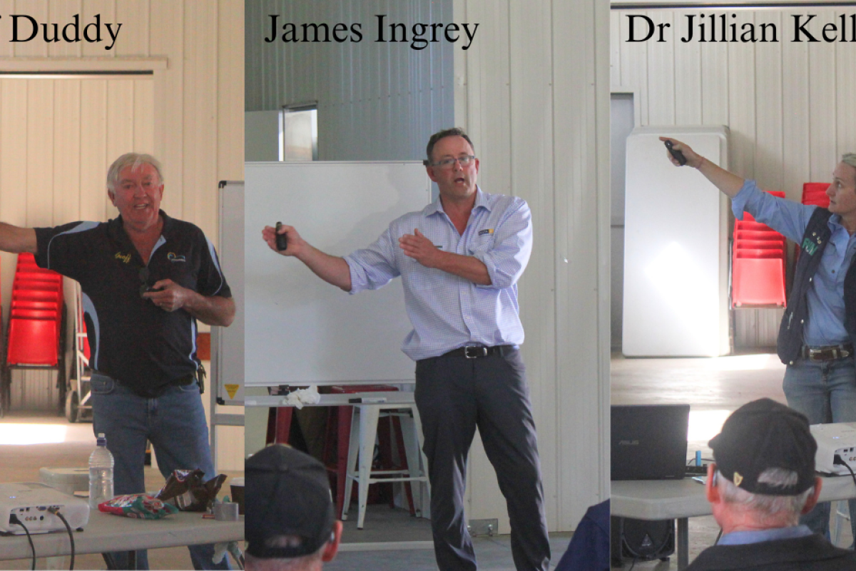 Three guest speakers presented at TPL's info day. Geoff Duddy spoke on scoring lambs; James Ingrey discussed ideal pasture mixes; Dr Kelly shared insight into animal dietary needs. Photos by The Gilgandra Weekly: Nicholas Croker.