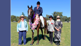 Horse arena entrants blessed with picture perfect weather at Gil Show